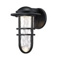 Dweled Steampunk 13in LED Indoor and Outdoor Wall Light 3000K in Black WS-W245